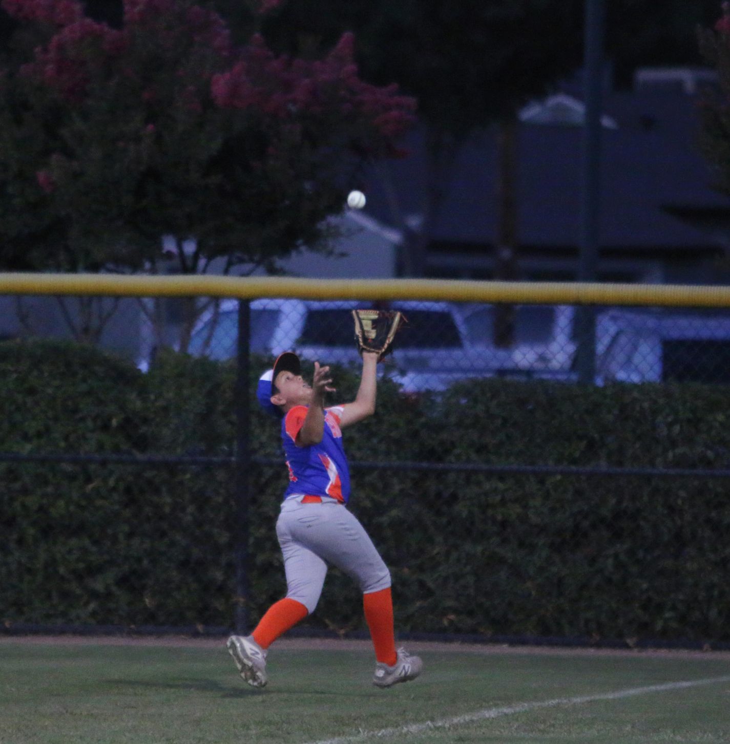 Plate struggles lead to loss for Central California